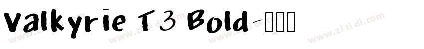 Valkyrie T3 Bold字体转换